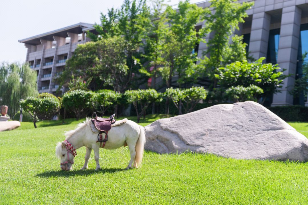 必发888(唯一)官方网站