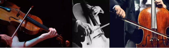 必发888(唯一)官方网站