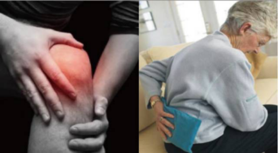 必发888(唯一)官方网站