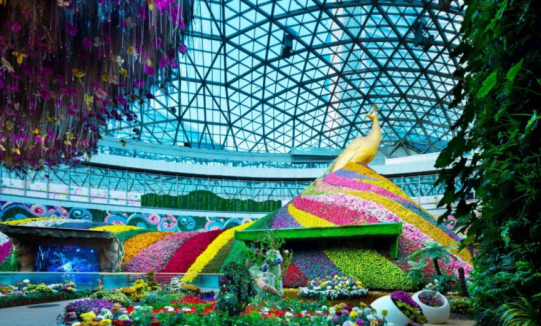 必发888(唯一)官方网站