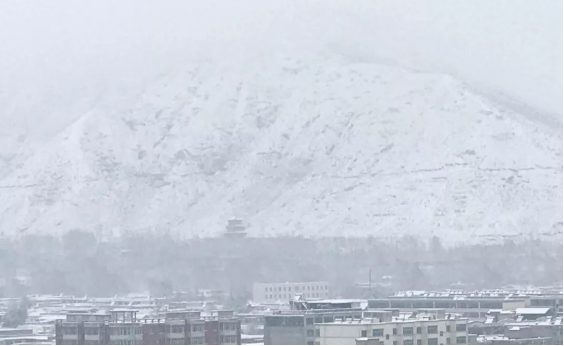 必发888(唯一)官方网站