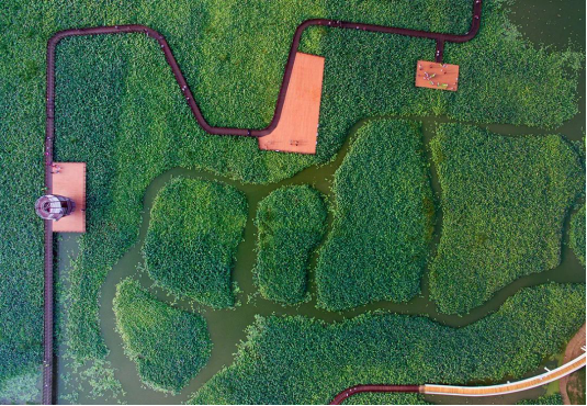 必发888(唯一)官方网站