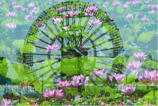 必发888(唯一)官方网站