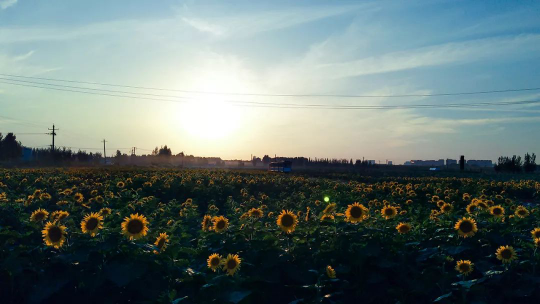 必发888(唯一)官方网站