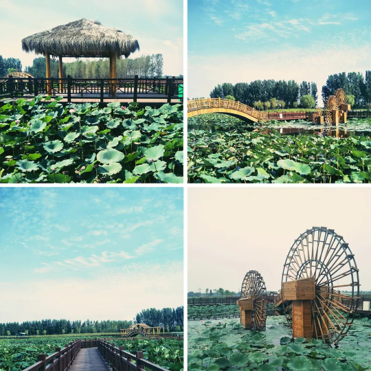 必发888(唯一)官方网站