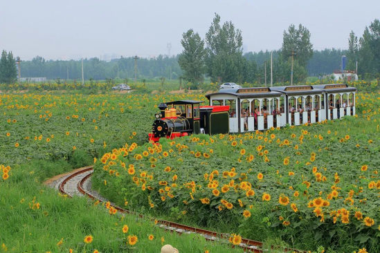 必发888(唯一)官方网站