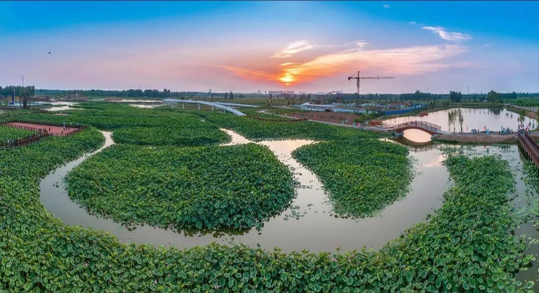 必发888(唯一)官方网站