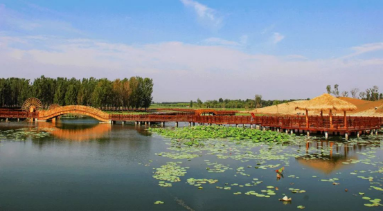 必发888(唯一)官方网站