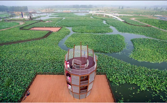 必发888(唯一)官方网站