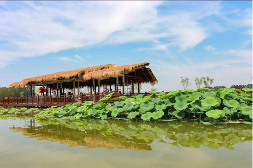 必发888(唯一)官方网站