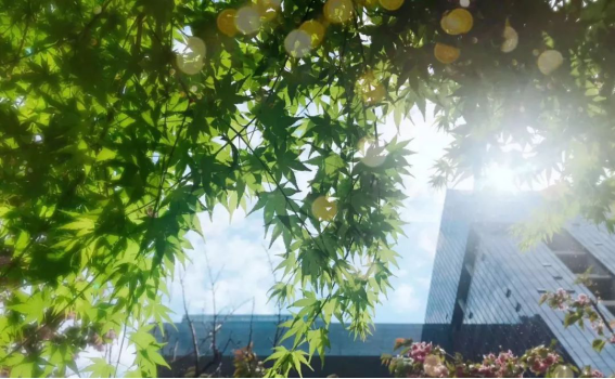 必发888(唯一)官方网站