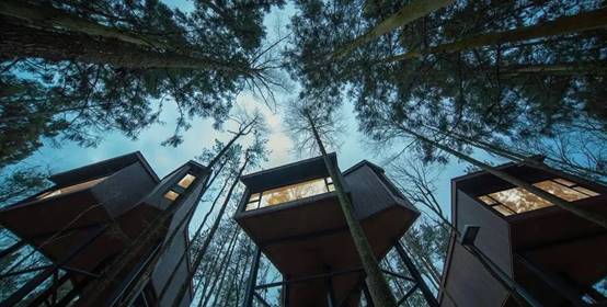 必发888(唯一)官方网站