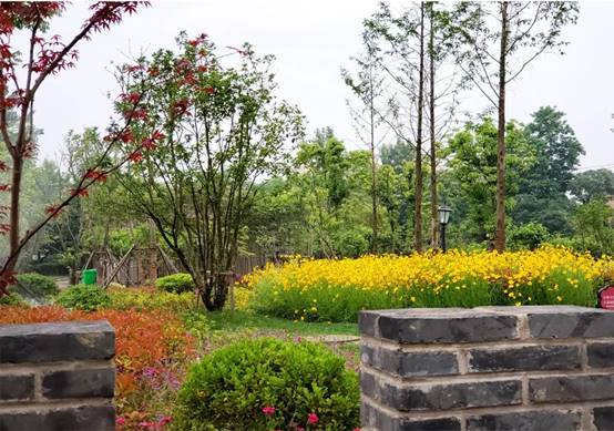 必发888(唯一)官方网站