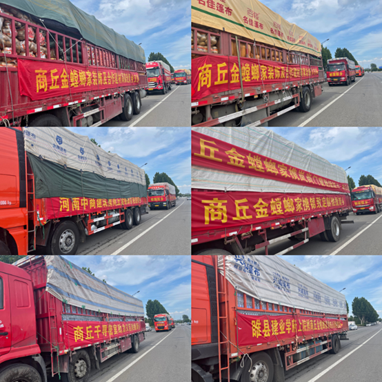 必发888(唯一)官方网站