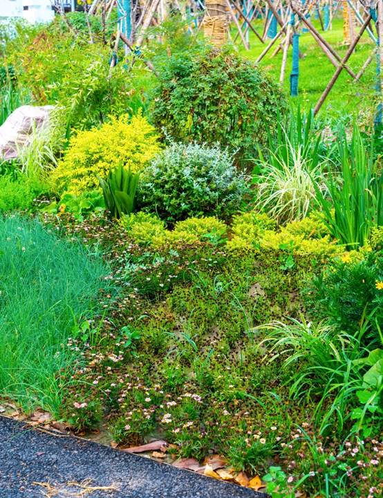 必发888(唯一)官方网站